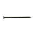 Pro-Fit Common Nail, 3-1/4 in L, 12D 0053188